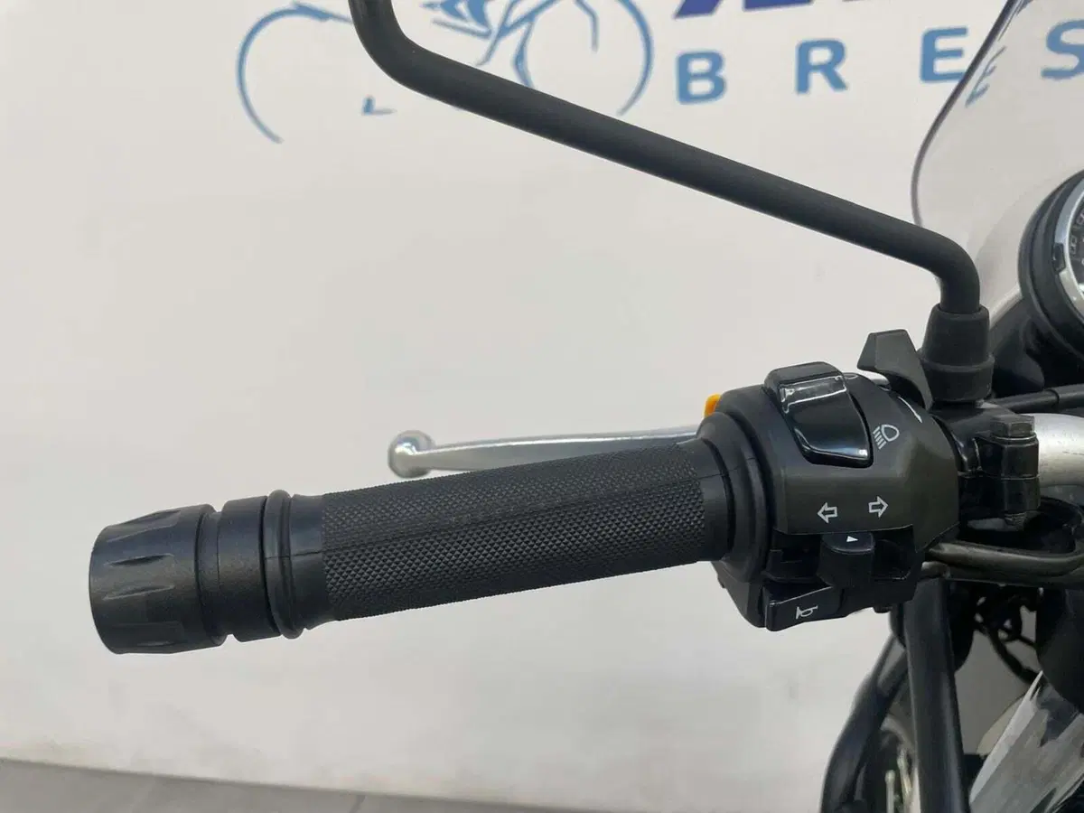 Royal Enfield Himalayan 411 (2017 - 20) (15)