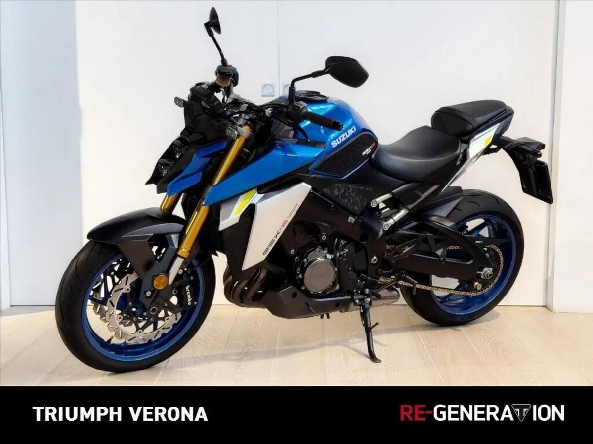 Suzuki GSX-S1000 (2021 - 25) (5)