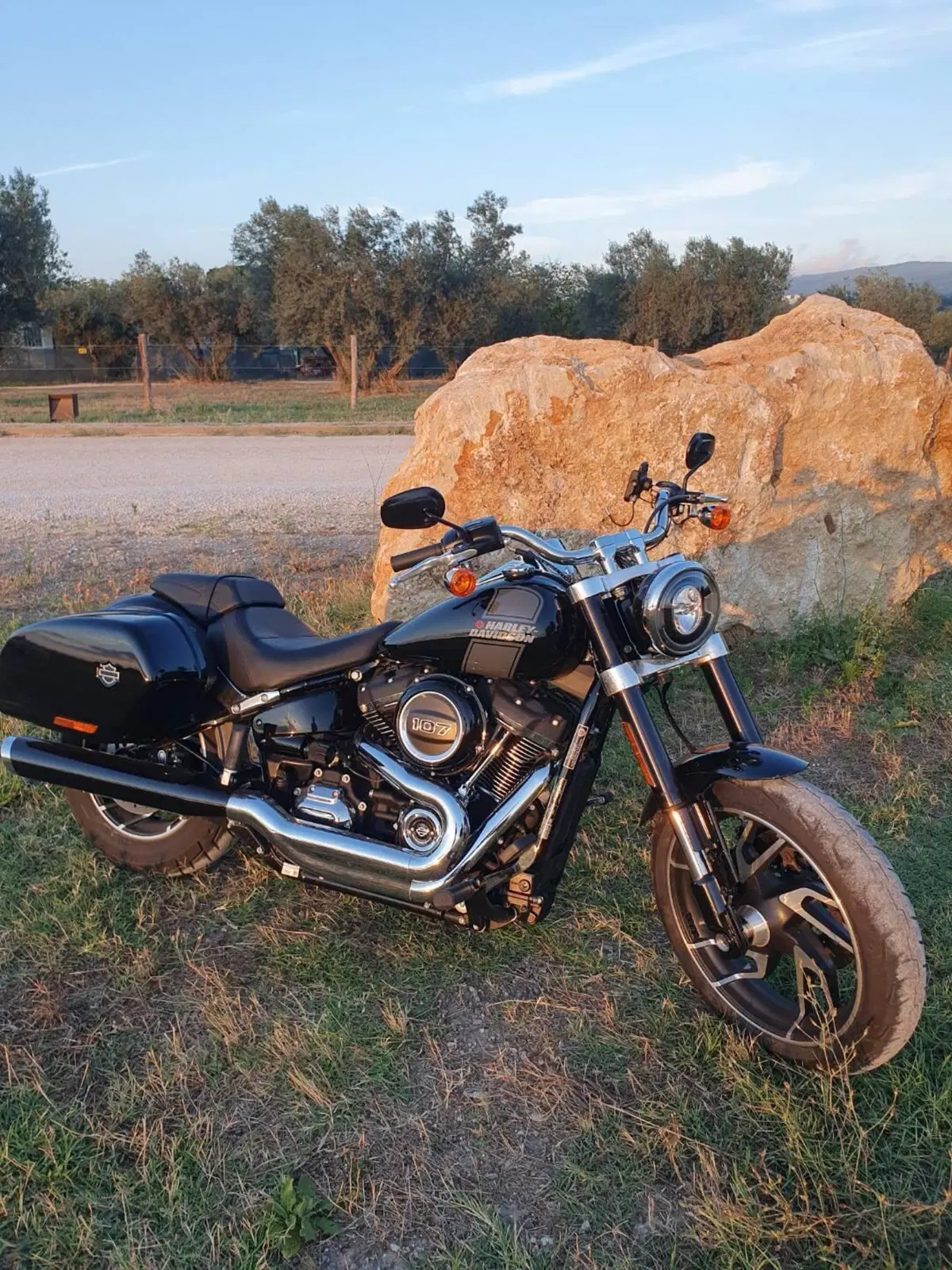 Harley-Davidson Sport Glide (2021 - 25) (2)