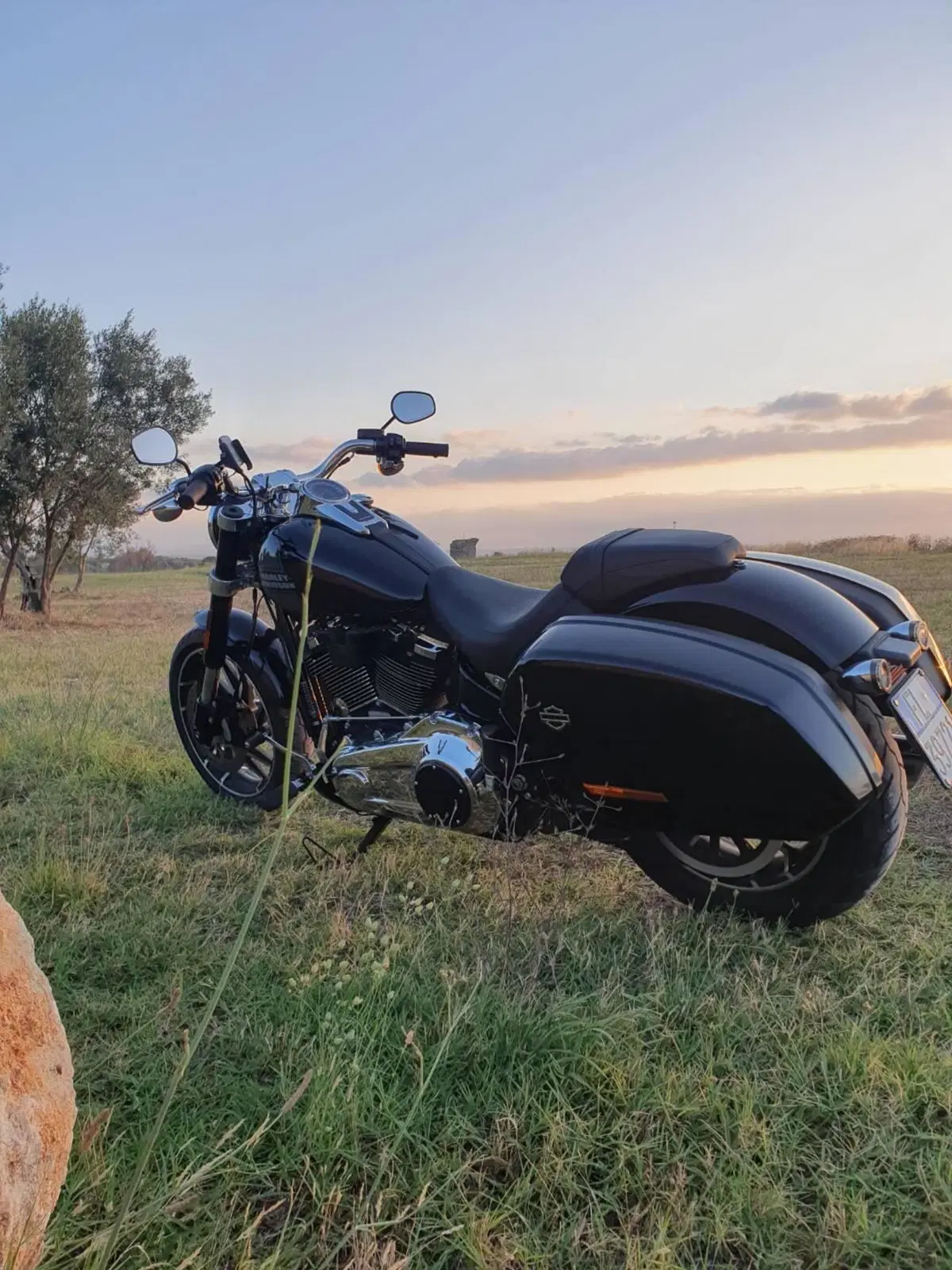 Harley-Davidson Sport Glide (2021 - 25) (5)