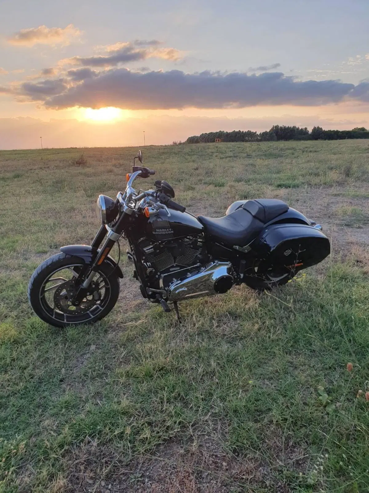 Harley-Davidson Sport Glide (2021 - 25) (6)