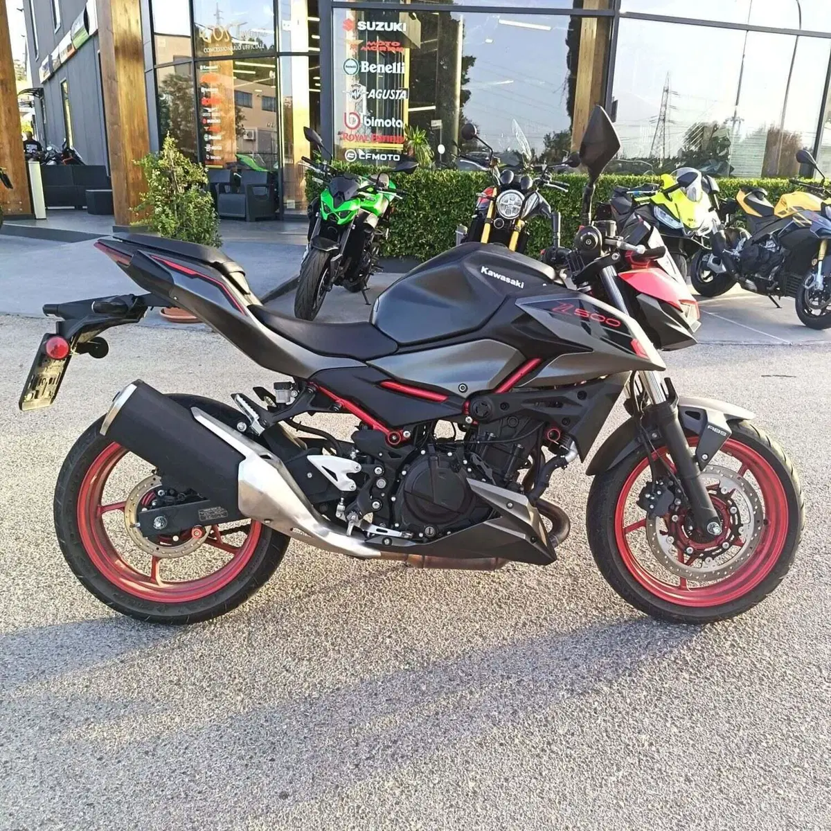 Kawasaki Z 500 SE (2024 - 26) (2)