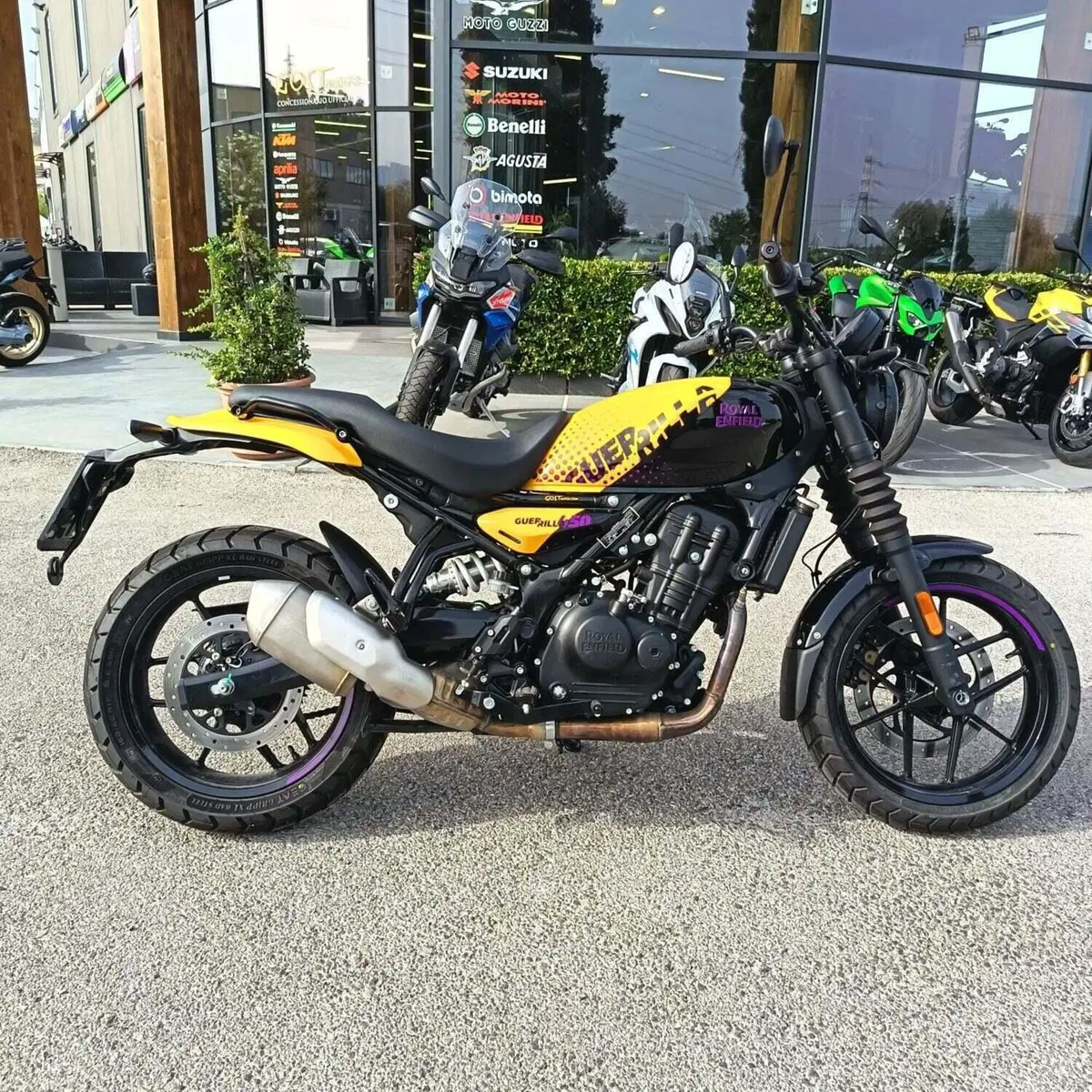 Royal Enfield Guerrilla 450 (2024 - 26) (3)