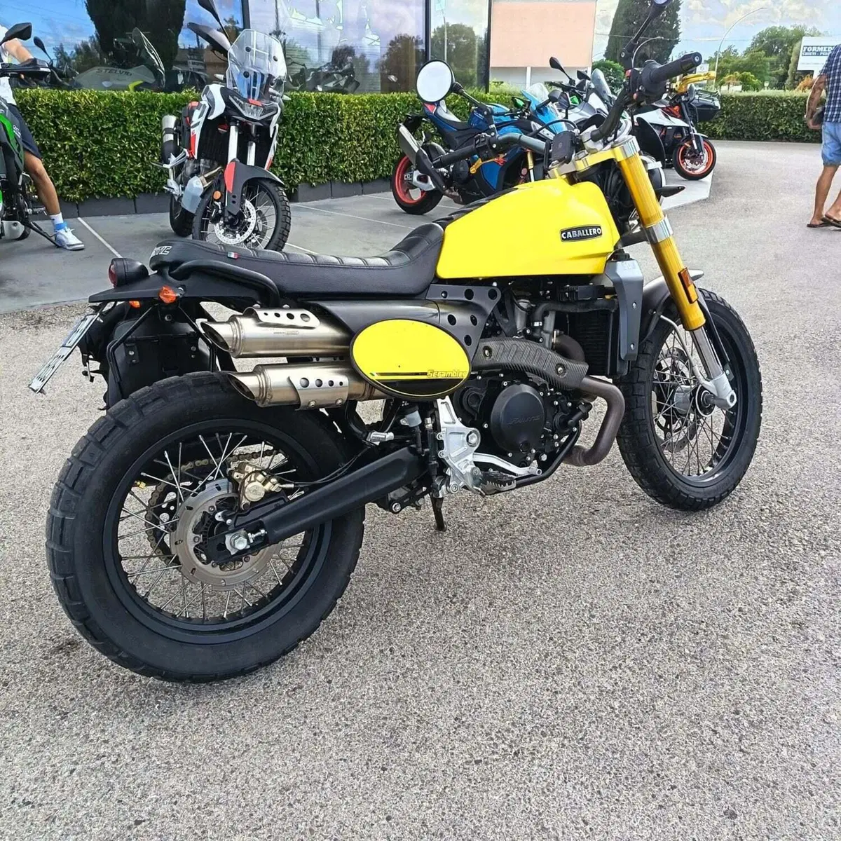 Fantic Motor Caballero 500 Scrambler (2021 - 23) (7)