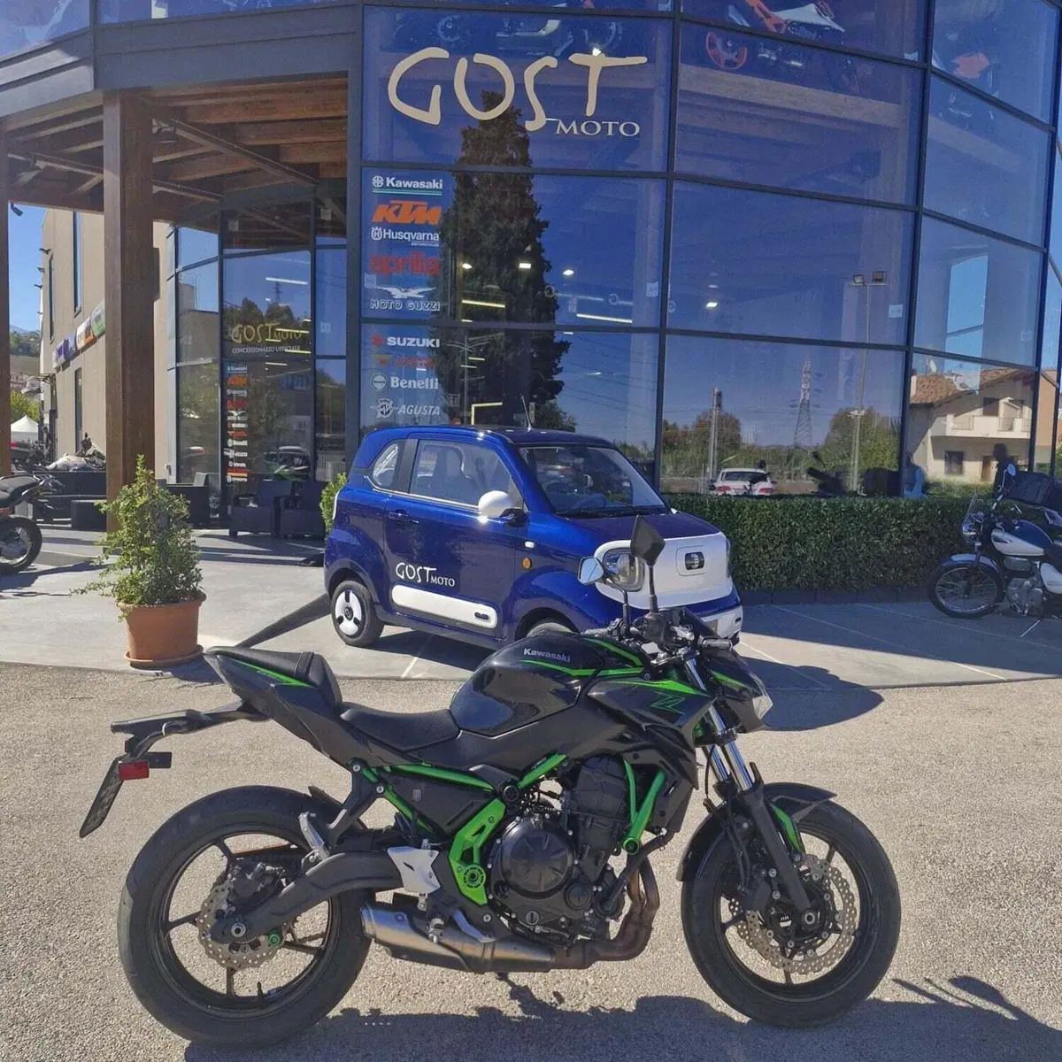Kawasaki Z 650 (2025 - 26)