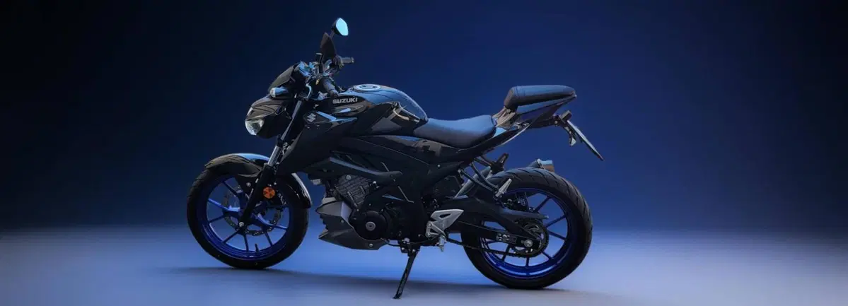 Suzuki GSX-S125 (2022 - 24) (2)