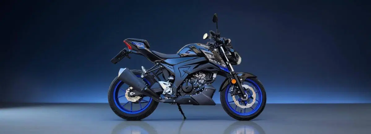 Suzuki GSX-S125 (2022 - 24)