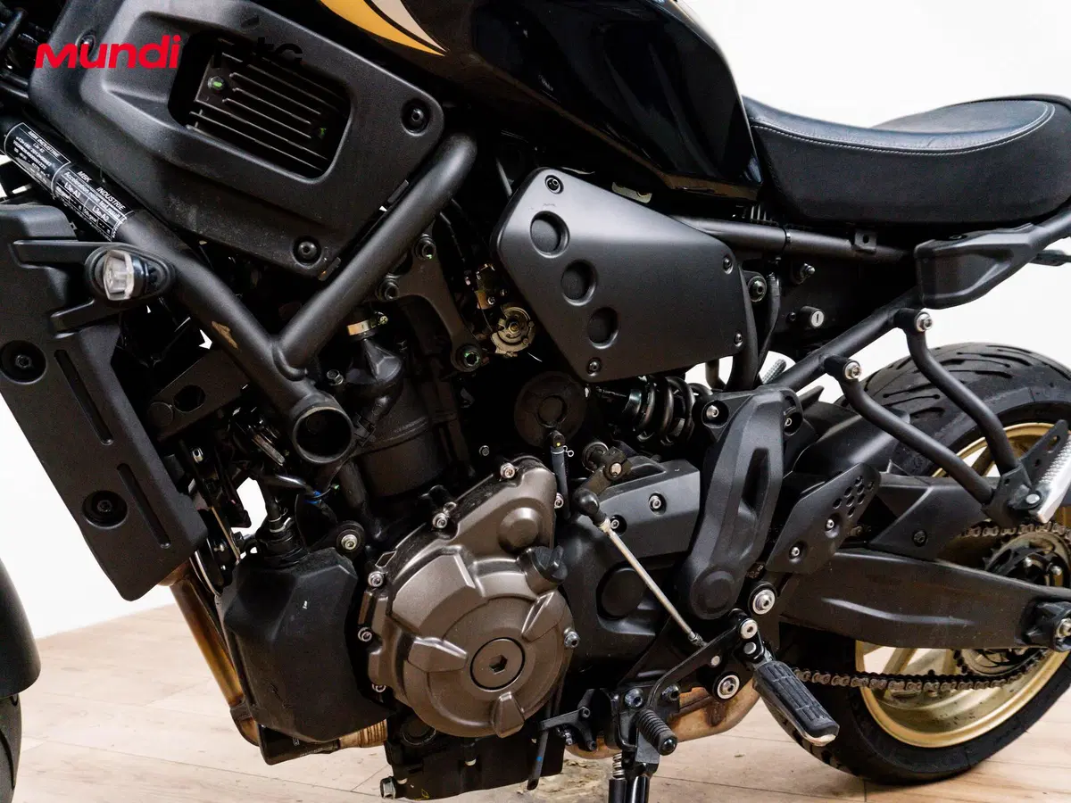 Yamaha XSR 700 (2021) (9)
