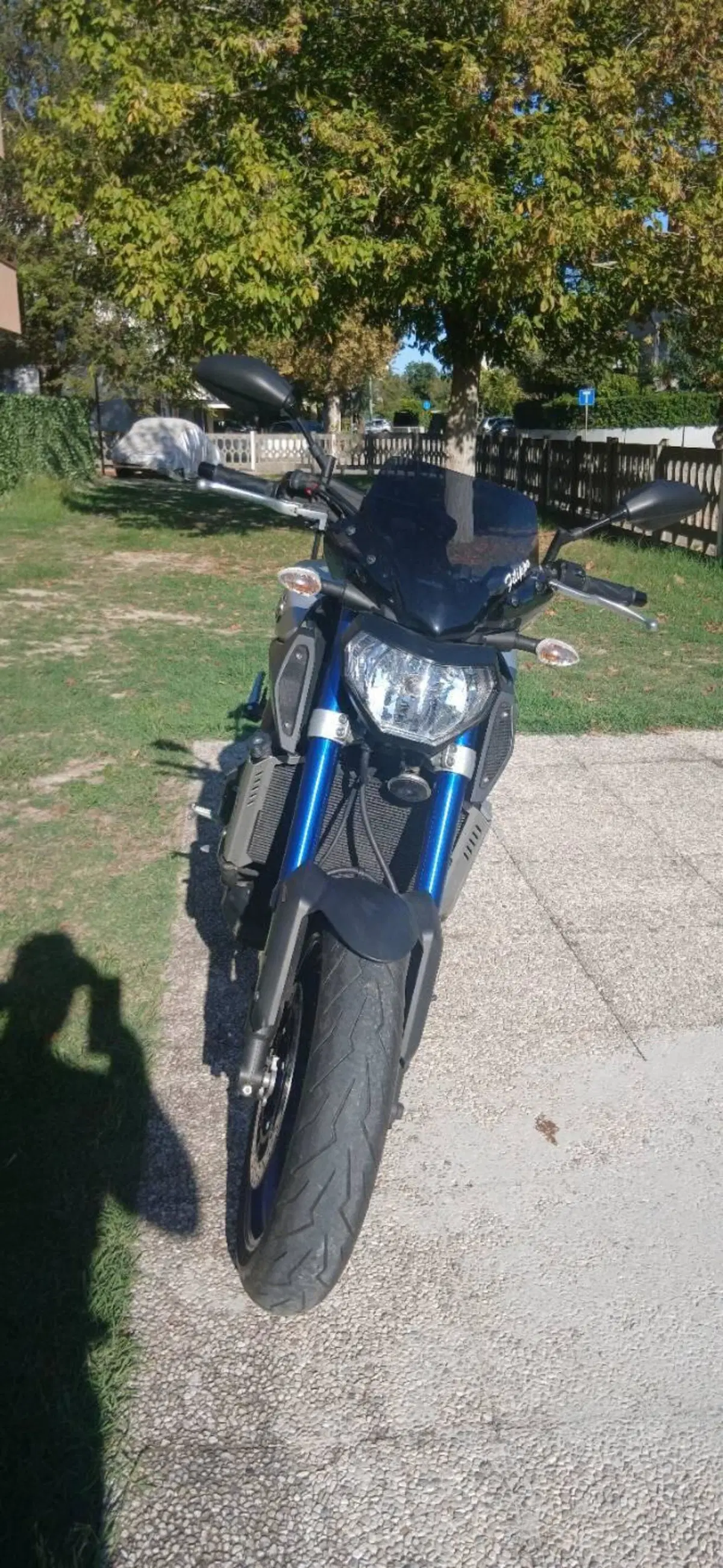 Yamaha MT-09 ABS (2013 - 15) (4)