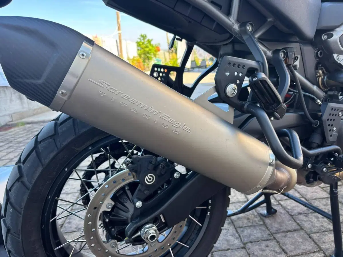 Harley-Davidson Pan America 1250 Special (2020 - 25) (5)