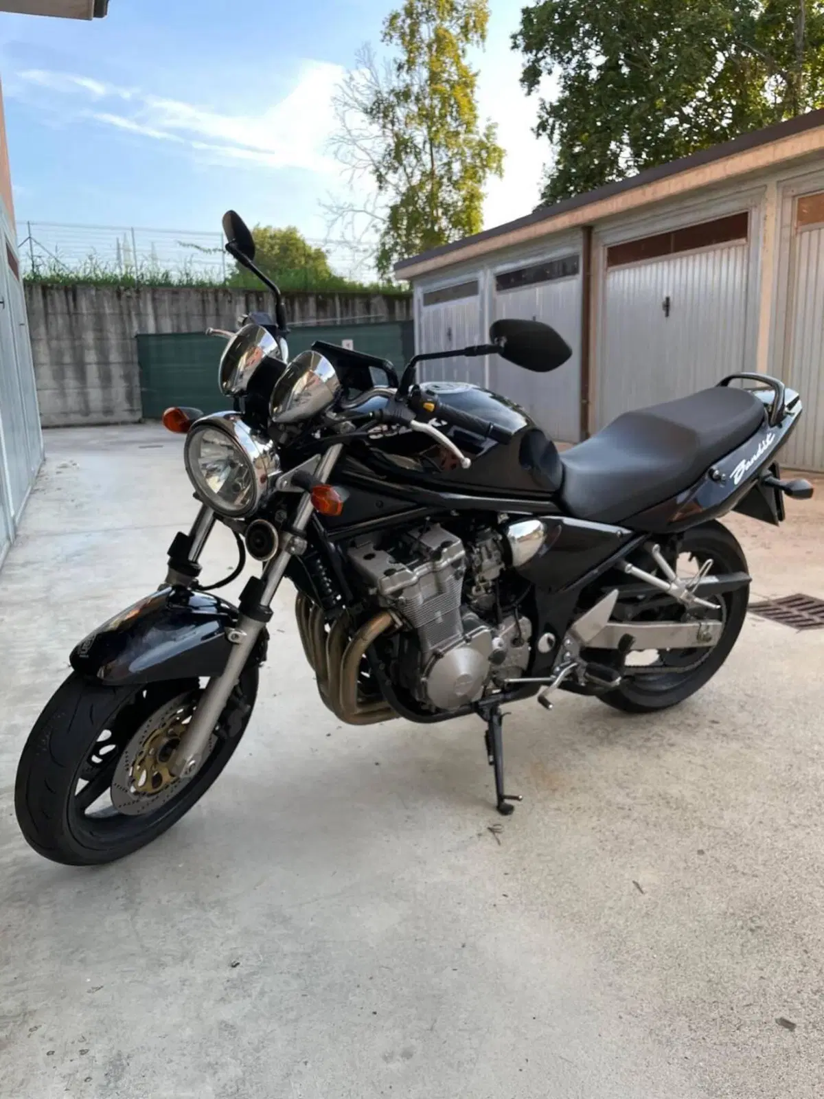 Suzuki GSF 600 Bandit (2000 - 05) (3)