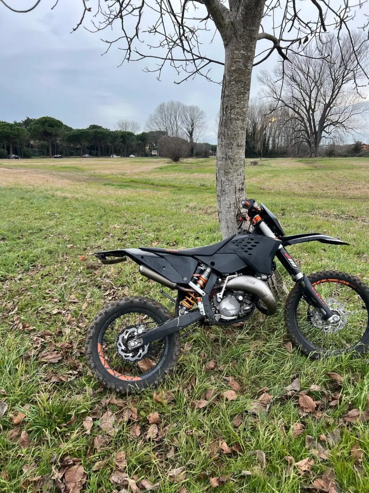 KTM 125 EXC (2009) (4)