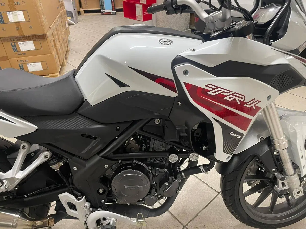 Benelli TRK 251 (2019 - 20) (4)