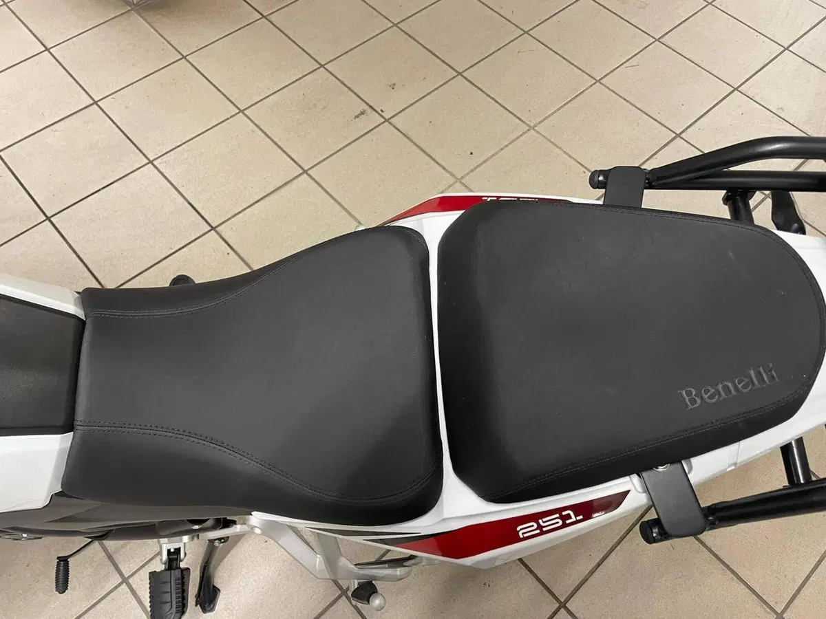 Benelli TRK 251 (2019 - 20) (11)