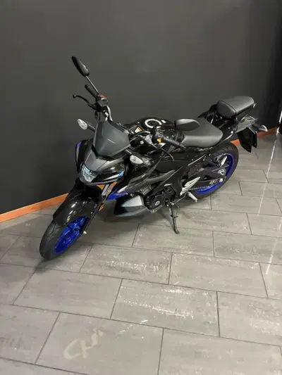 Suzuki GSX-S125 (2022 - 24) usata