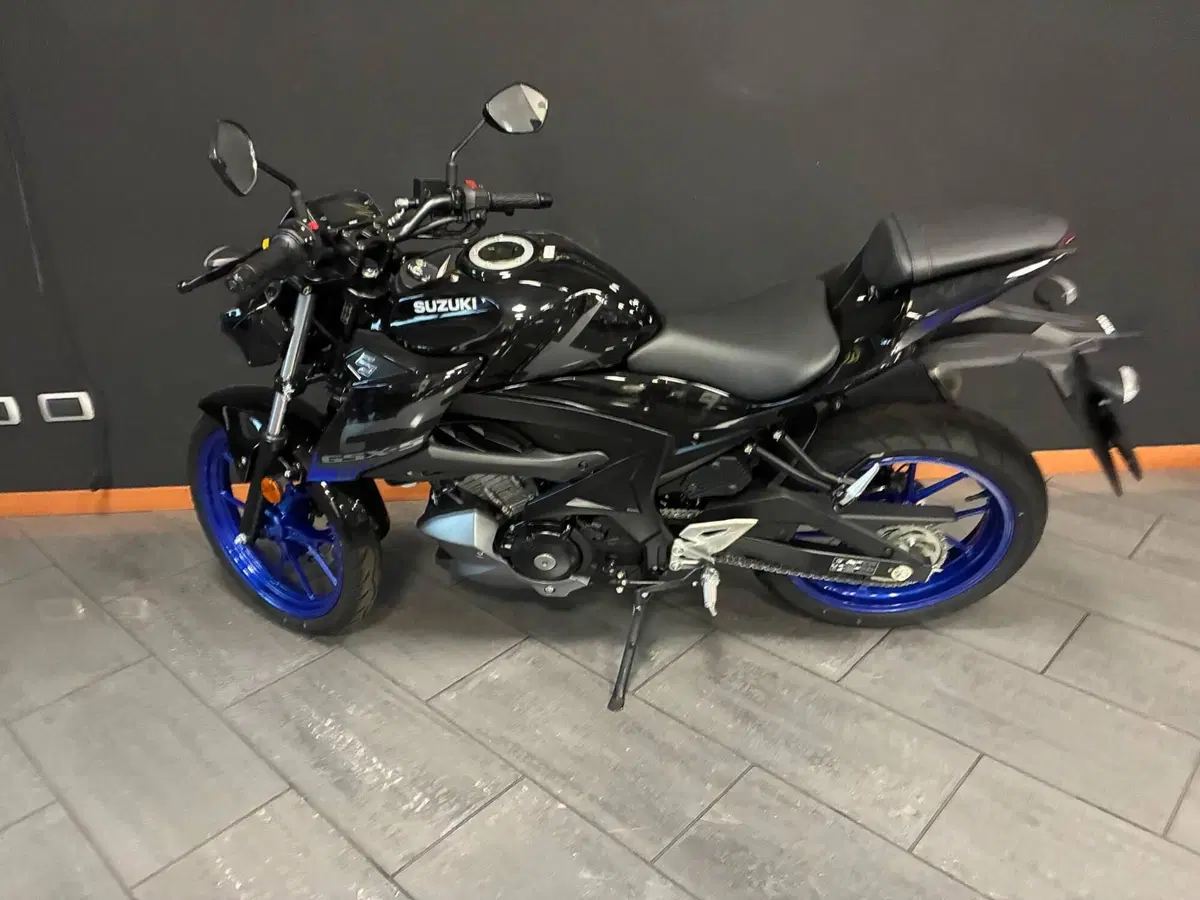 Suzuki GSX-S125 (2022 - 24) (2)