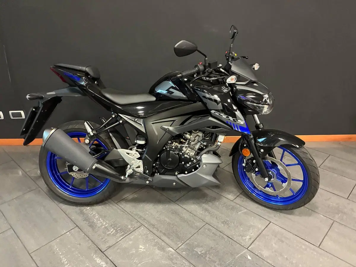 Suzuki GSX-S125 (2022 - 24) (4)