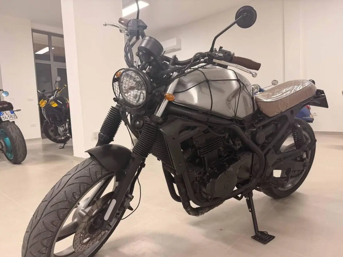 Kawasaki ER-5 500 (1996 - 00) (7)
