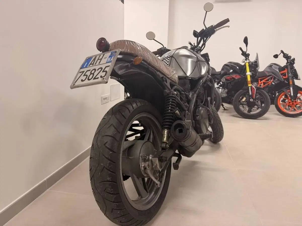 Kawasaki ER-5 500 (1996 - 00) (8)