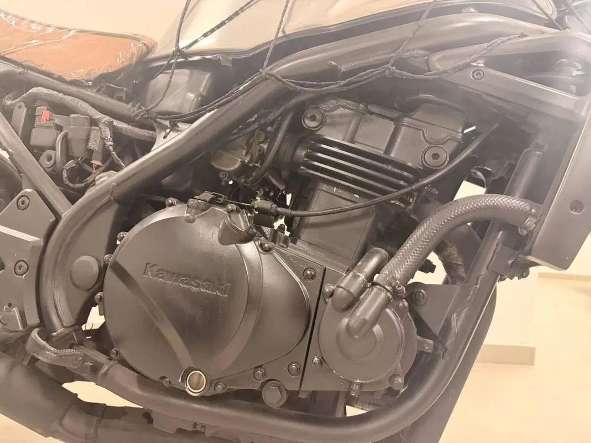 Kawasaki ER-5 500 (1996 - 00) (9)