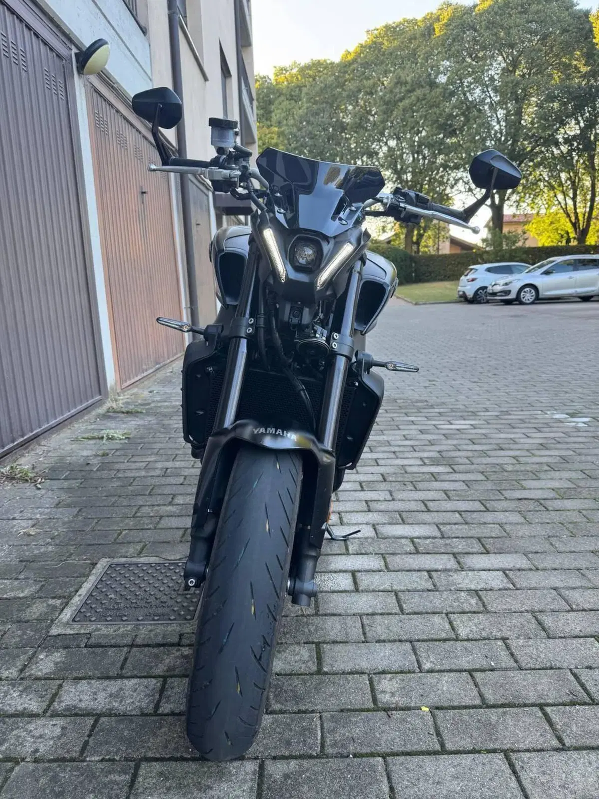 Yamaha MT-09 (2021 - 23) (8)
