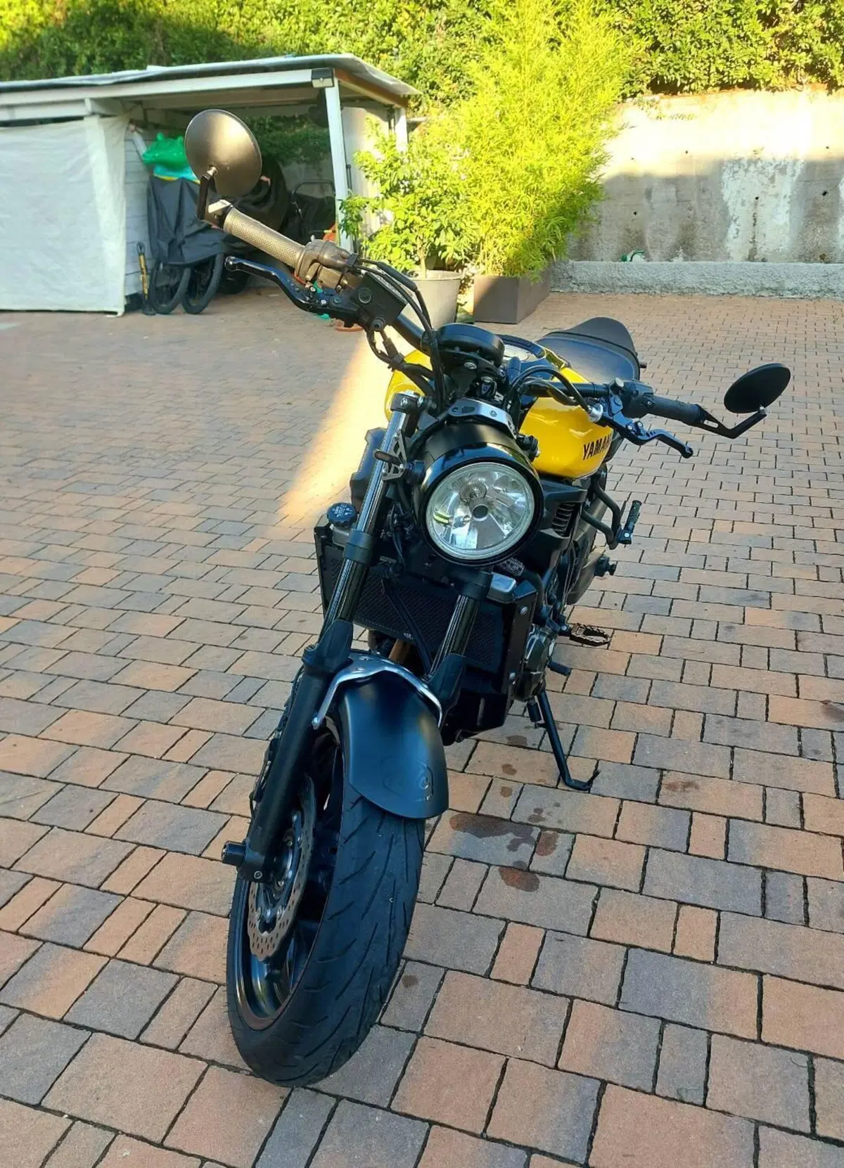 Yamaha XSR 700 ABS 60th Anniversary (2016 - 18) (2)