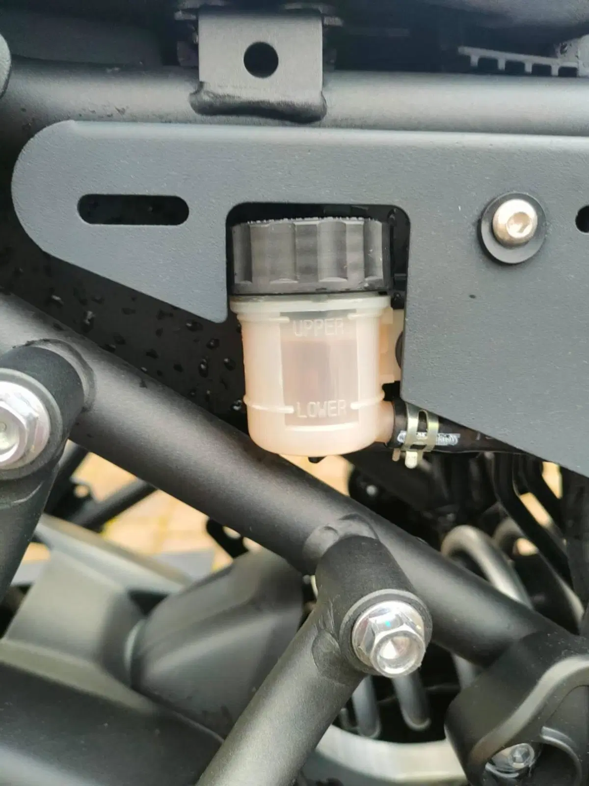 Yamaha XSR 700 ABS 60th Anniversary (2016 - 18) (10)