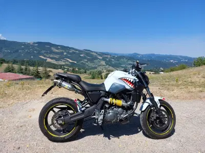 Yamaha MT-03 (2006 - 14) usata