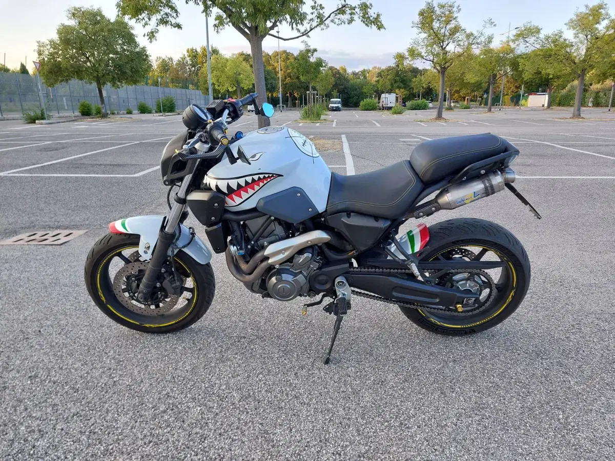 Yamaha MT-03 (2006 - 14) (3)