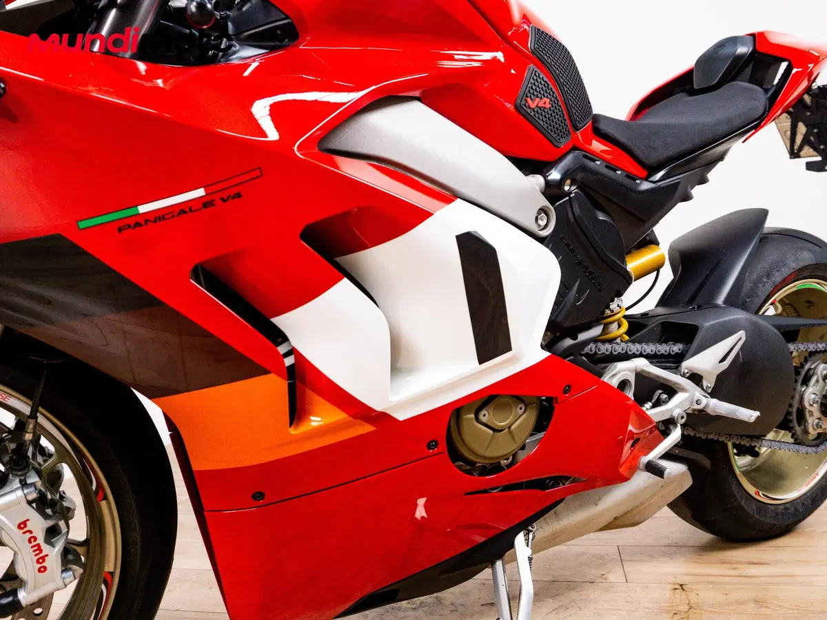 Ducati Panigale V4 1100 (2020) (9)