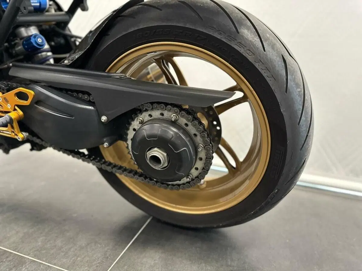 Triumph Speed Triple 1050 (2005 - 11) (9)