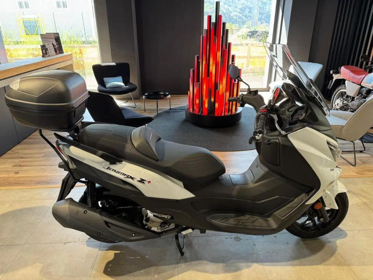 Sym Joymax 300 Z+ (2021 - 24)
