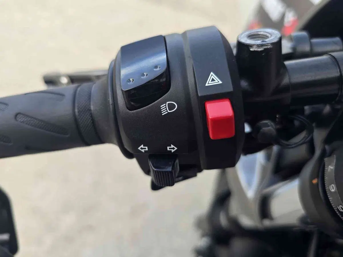 Suzuki SV 650 X (2018 - 20) (25)