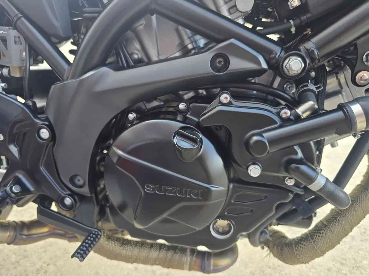 Suzuki SV 650 X (2018 - 20) (20)