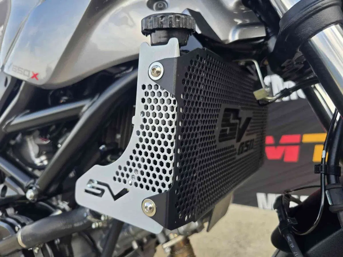 Suzuki SV 650 X (2018 - 20) (22)