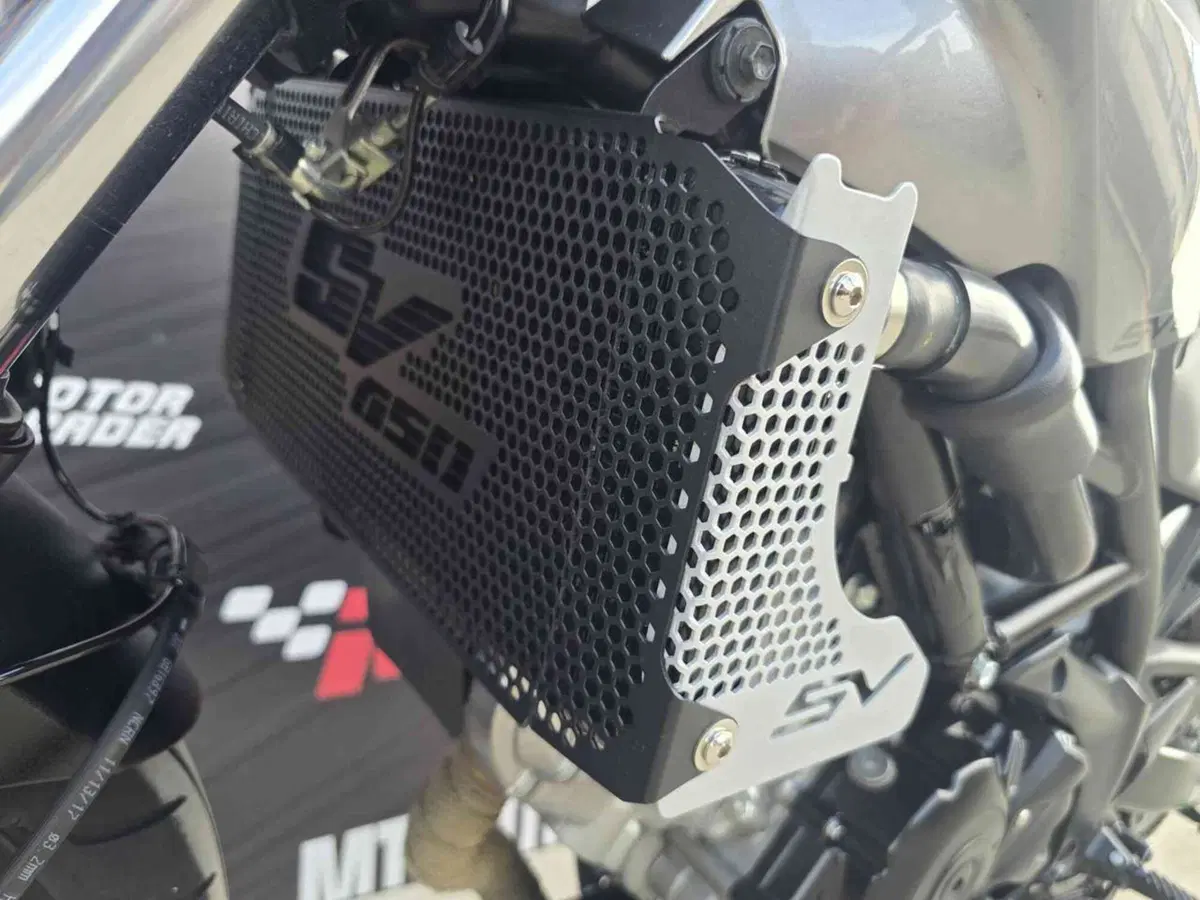 Suzuki SV 650 X (2018 - 20) (23)