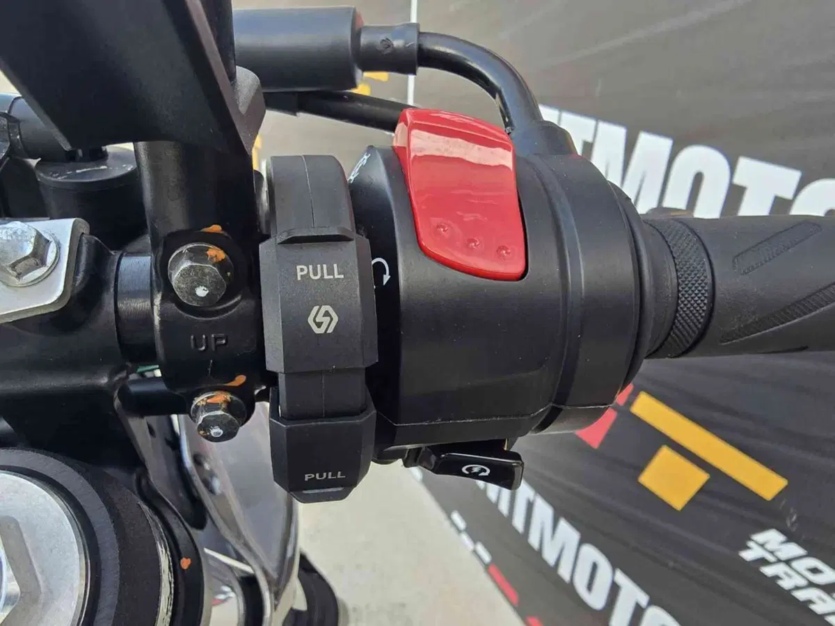 Suzuki SV 650 X (2018 - 20) (24)