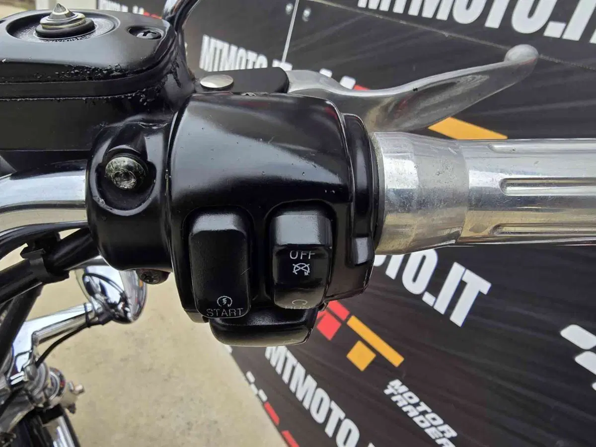 Harley-Davidson 883 Standard (2001 - 05) - XL 883 (25)