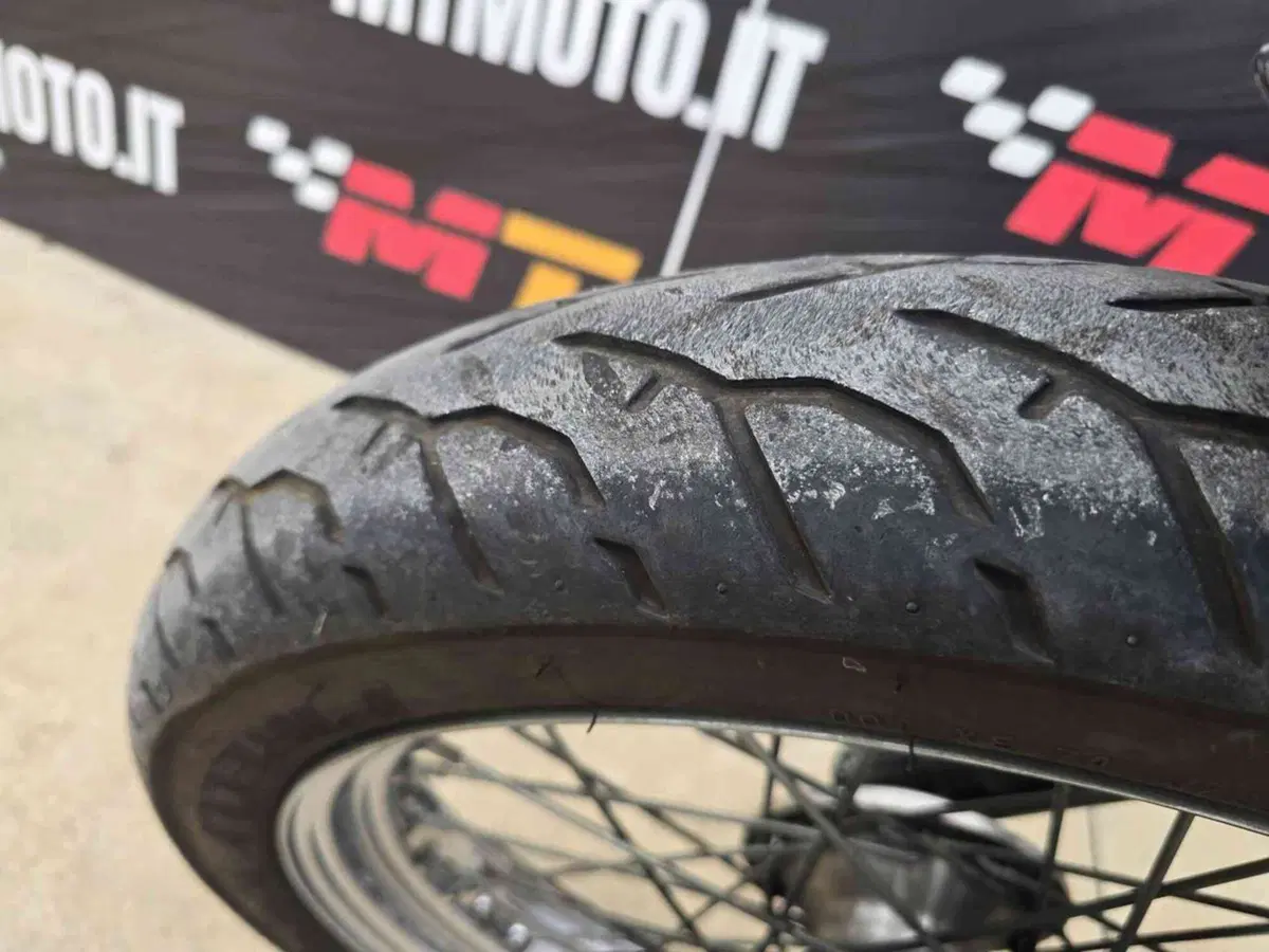 Harley-Davidson 883 Standard (2001 - 05) - XL 883 (10)
