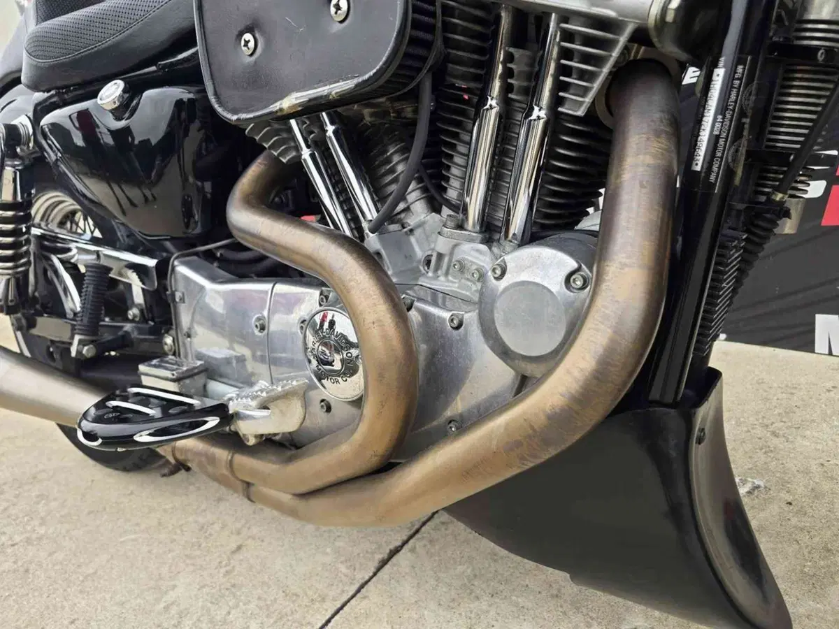Harley-Davidson 883 Standard (2001 - 05) - XL 883 (18)