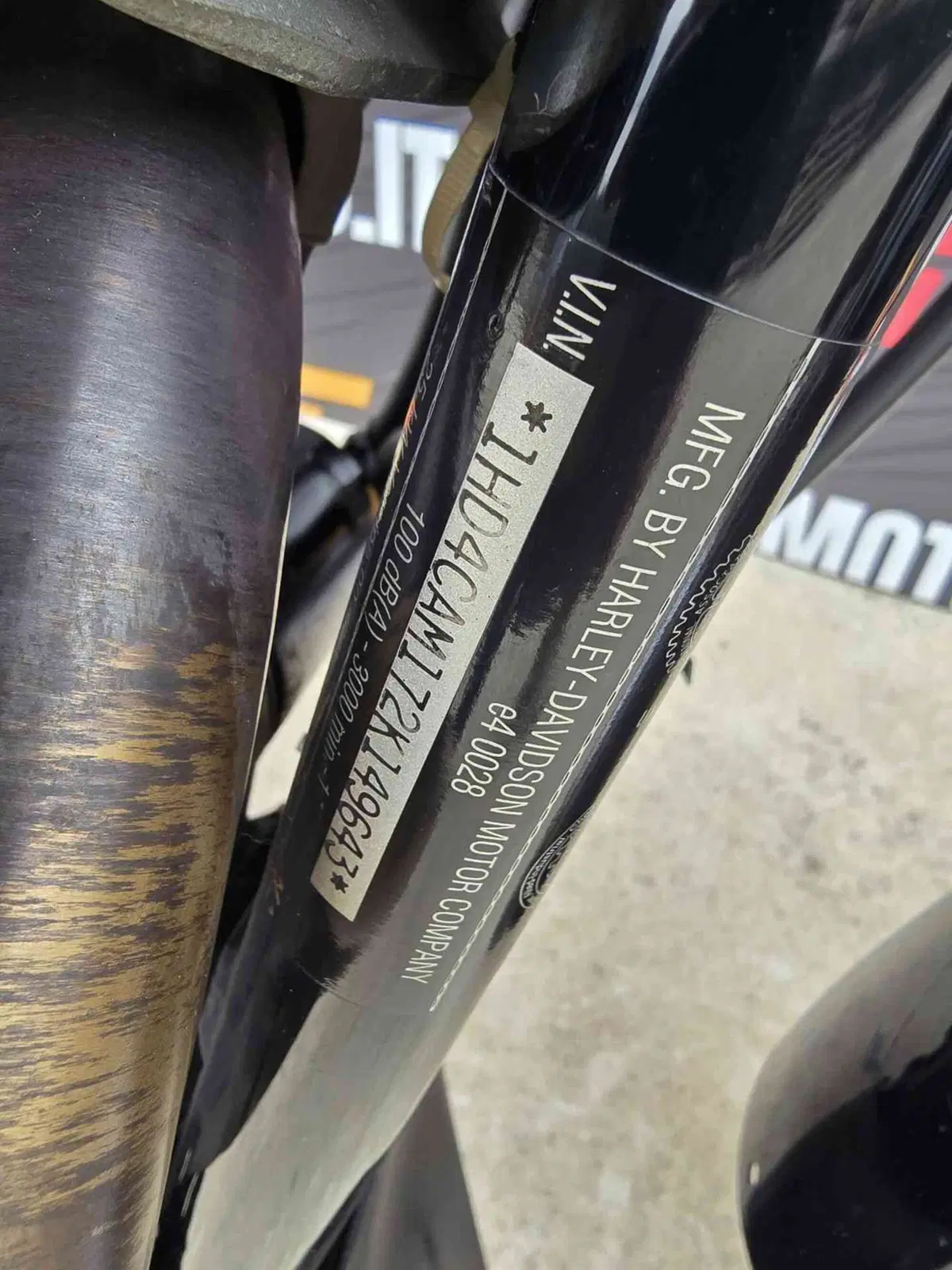 Harley-Davidson 883 Standard (2001 - 05) - XL 883 (34)