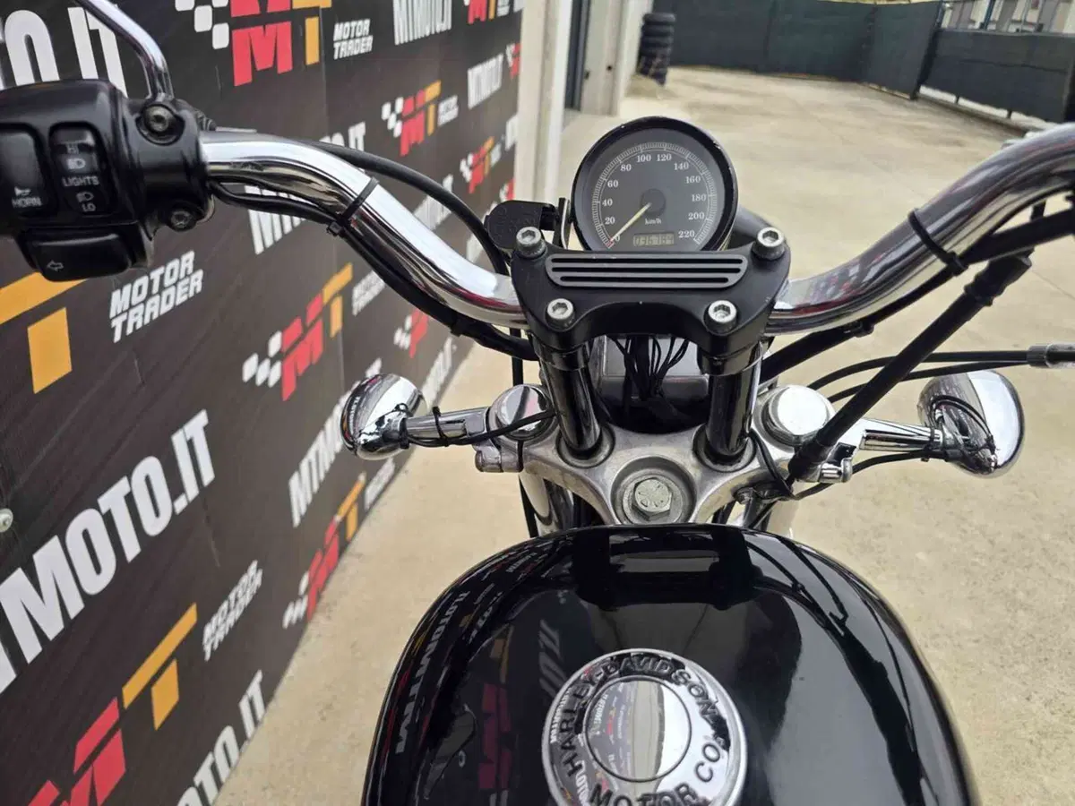 Harley-Davidson 883 Standard (2001 - 05) - XL 883 (19)