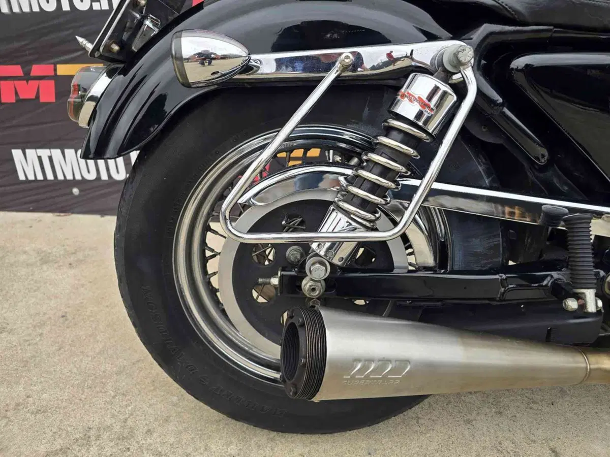 Harley-Davidson 883 Standard (2001 - 05) - XL 883 (12)