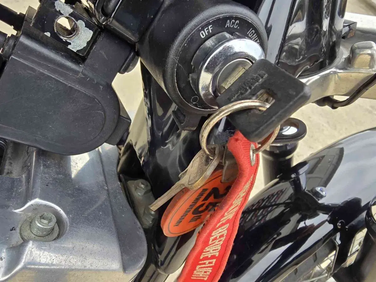 Harley-Davidson 883 Standard (2001 - 05) - XL 883 (35)