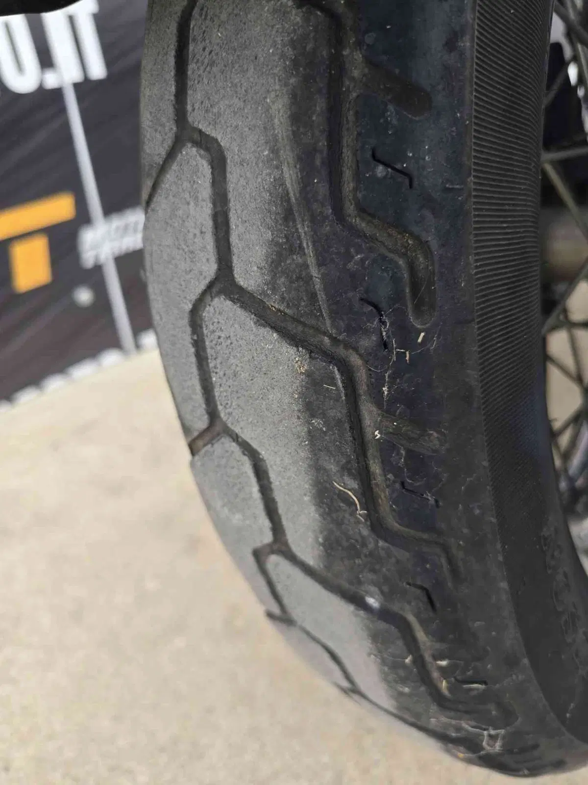 Harley-Davidson 883 Standard (2001 - 05) - XL 883 (13)