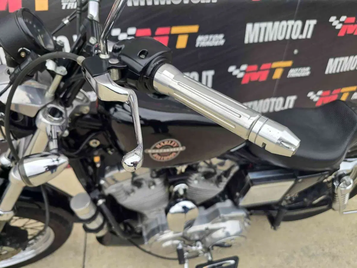 Harley-Davidson 883 Standard (2001 - 05) - XL 883 (21)