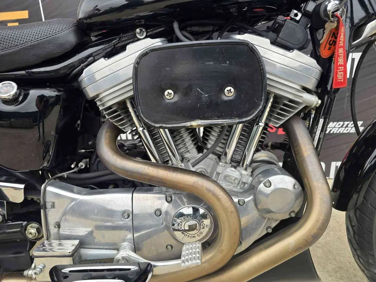 Harley-Davidson 883 Standard (2001 - 05) - XL 883 (6)