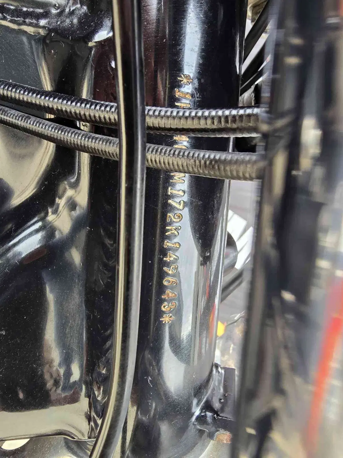 Harley-Davidson 883 Standard (2001 - 05) - XL 883 (29)