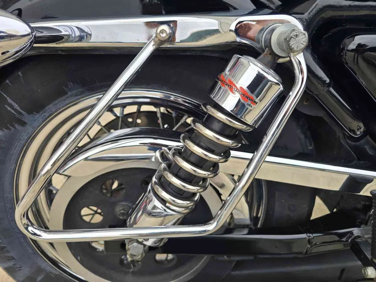 Harley-Davidson 883 Standard (2001 - 05) - XL 883 (14)