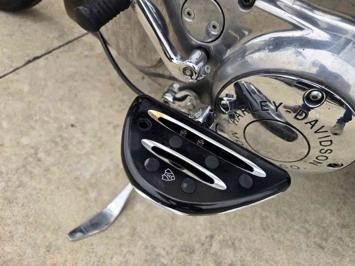 Harley-Davidson 883 Standard (2001 - 05) - XL 883 (22)